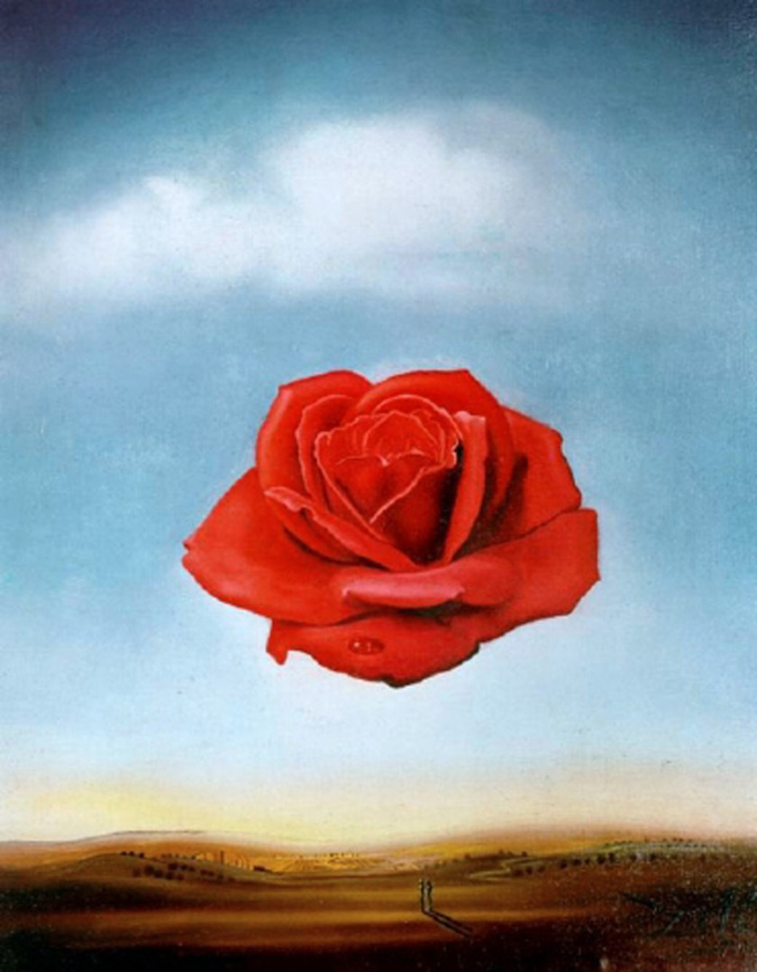 dali-the-meditative-rose-1